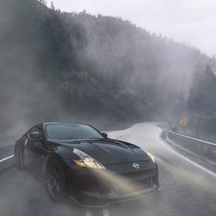 car, vehicle, forest
